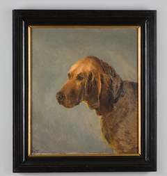 Portret van een hond by Marie Aldophine van der Goes van Dirxland