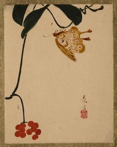 Red Berry Plant and Butterfly by Shibata Zeshin