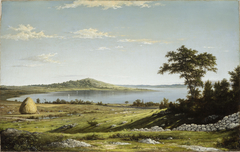 Rhode Island Shore by Martin Johnson Heade