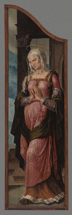 Saint Elisabeth by Maarten van Heemskerck