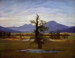 Solitary Tree by Caspar David Friedrich