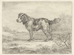 Spaniel staande in een landschap by Jan Dasveldt