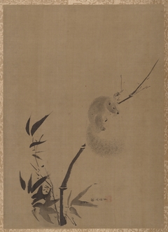 Squirrel on Bamboo by Kanō Tan'yū