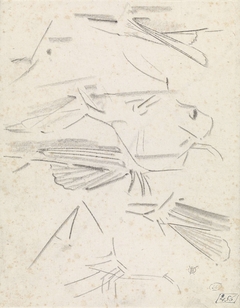 Studies van vinnen by Gerrit Willem Dijsselhof