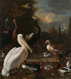 The Floating Feather by Melchior d'Hondecoeter