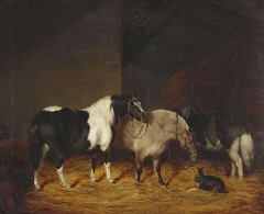 Three Shetland Ponies, Tommy, Beauty and Huntly, with the Terrier Fanny by George Morley