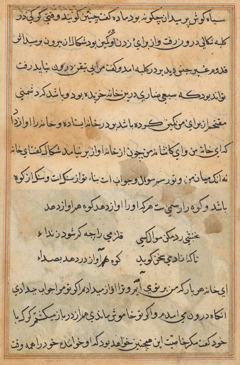 Tuti-Nama (Tales of a Parrot) by Unknown Artist