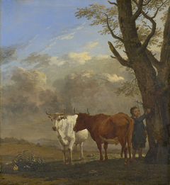 Two Bullocks with a Boy Cutting a Twig by Karel Dujardin