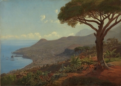 Utsikt over Funchal på Madeira by Johan Fredrik Eckersberg