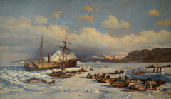 Voyage of the Polaris by William Bradford