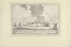 Walvis tussen Zandvoort en Wijk aan Zee aangespoeld, 1762 by Jacobus Luberti Augustini