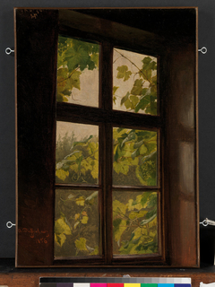 Window by Anton Dieffenbach