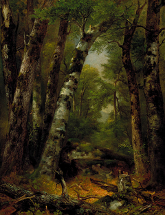 Woodland Glen by Asher Brown Durand