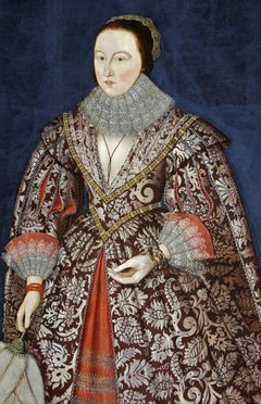 A Lady of the Morgan Family by Anonymous