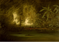 A Lagoon of the Upper Amazon by George Catlin