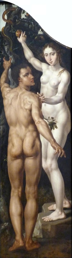 Adam and Eve by Maarten van Heemskerck