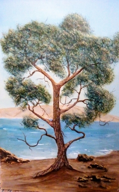 an old pinetree by ΔΗΜΗΤΡΗΣ ΔΗΜΗΤΡΙΑΔΗΣ