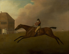 Baronet with Samuel Chifney up by George Stubbs