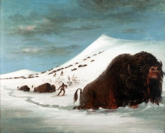 Buffalo Hunt in Snow Shoes by George Catlin