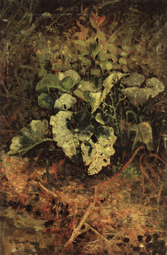 Burdock by Ivan Shishkin