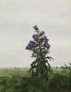 Canterbury Bells by Léon Bonvin