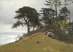 Cypress Point, Monterey by Albert Bierstadt