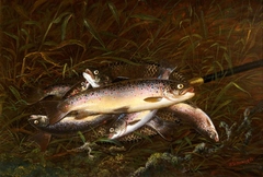 Dead Trout by Thomas Greenslade Targett