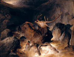 Deer and Deer Hounds in a Mountain Torrent by Edwin Henry Landseer