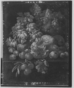 Display of Fruit by Gaspar Peeter Verbruggen the Younger