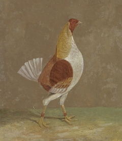 Fighting Cocks: a Pale-Breasted Fighting Cock, Facing Rght by John Frederick Herring