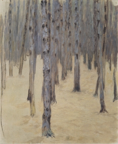 Föhrenwald im Winter by Koloman Moser