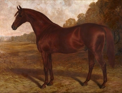 Hermit, a Racehorse in a Landscape by Robert Nightingale