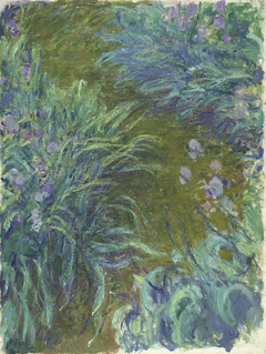 Irises by Claude Monet