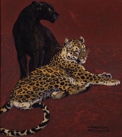 Jaguar and Black Panther - Warwick Reynolds - ABDAG003932 by Warwick Reynolds