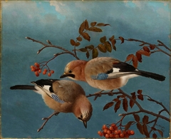 Jays by Ferdinand von Wright