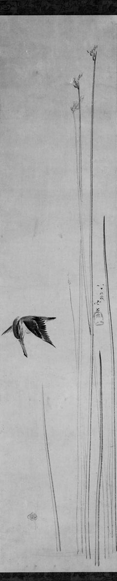 King Fisher and Bulrushes by Katsushika Hokusai