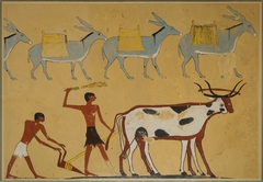 Laden Donkeys and Ploughing, Tomb of Djar by Nina M Davies