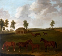 Mares and Foals in Field by Francis Sartorius