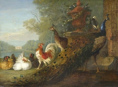 Peacock and Chickens, with a View of a House by Pieter Casteels III