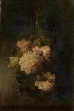 Peonies by Margaretha Roosenboom