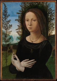 Portrait of a Young Woman by Lorenzo di Credi