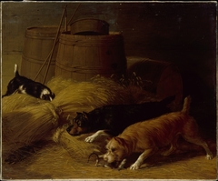 Rats amongst the Barley Sheaves by Thomas Hewes Hinckley