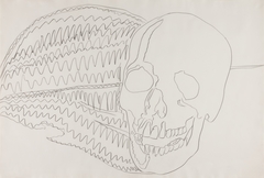 Skull by Andy Warhol