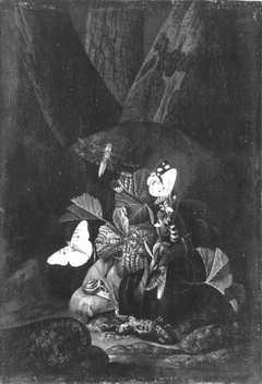 Stillleben mit Schlange, Schnecke und totem Frosch by Franz de Hamilton