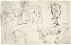 Studieblad met studies van paarden by Théodore Géricault