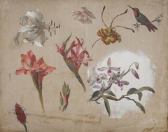 Study of Varied Flowers with a Hummingbird by Martin Johnson Heade