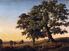 The Charter Oak by Frederic Edwin Church