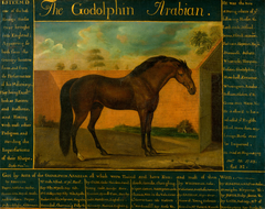 The Godolphin Arabian by Daniel Quigley