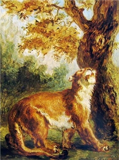 Le puma by Eugène Delacroix