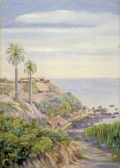 View of Concon, Chili, with Its Two Palms by Marianne North